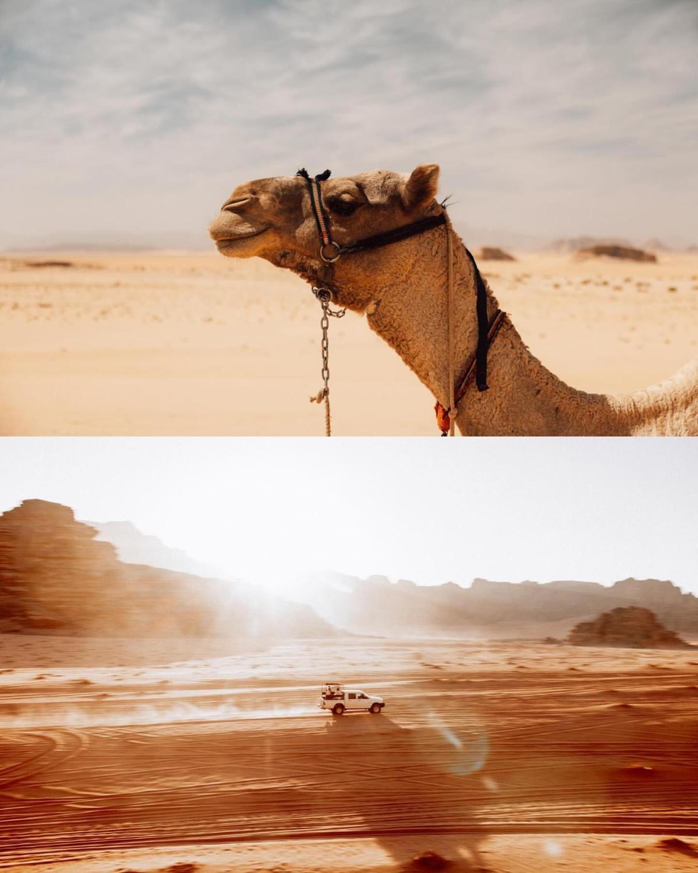 Rum Luxury Camp Wadi Rum Ngoại thất bức ảnh
