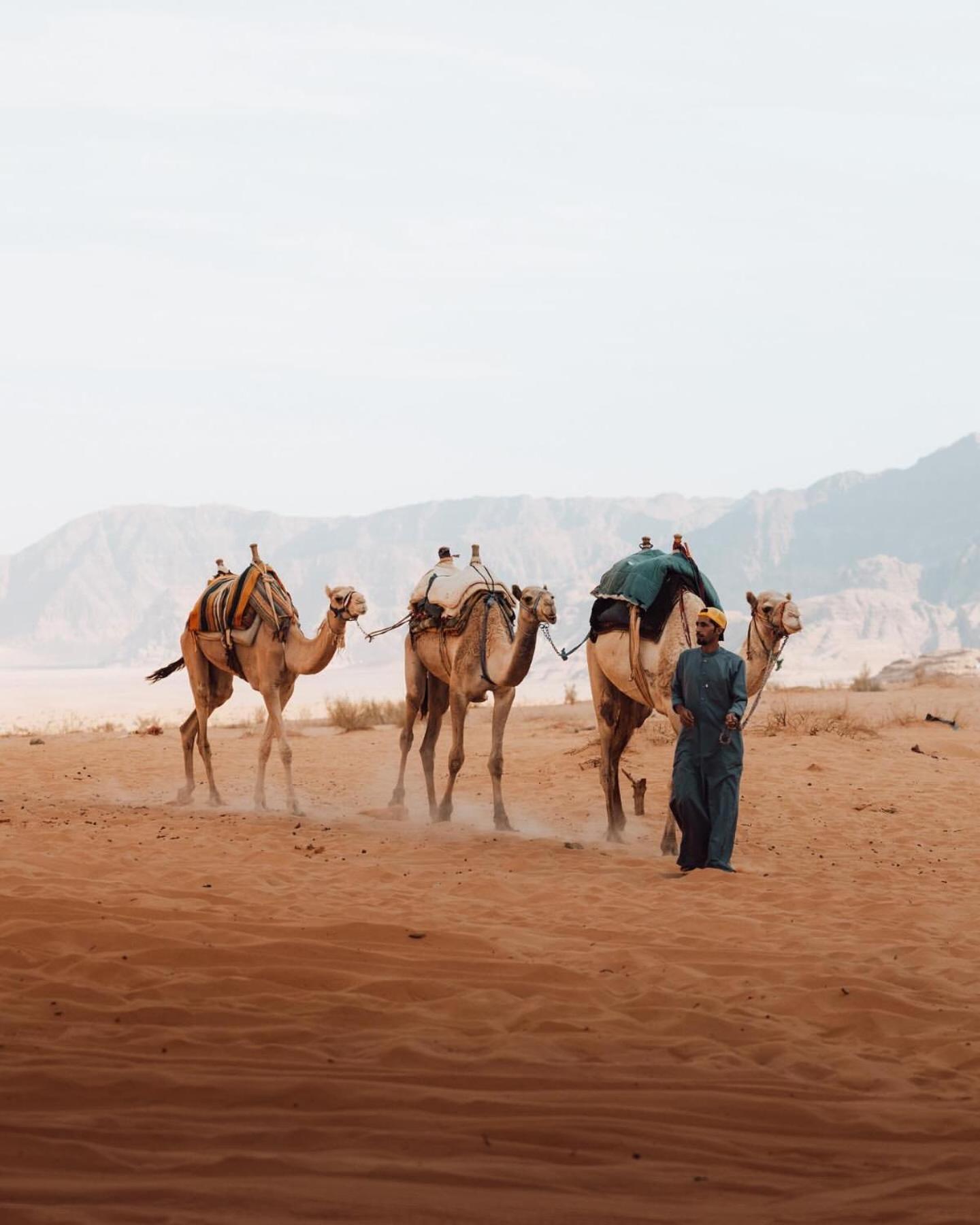 Rum Luxury Camp Wadi Rum Ngoại thất bức ảnh