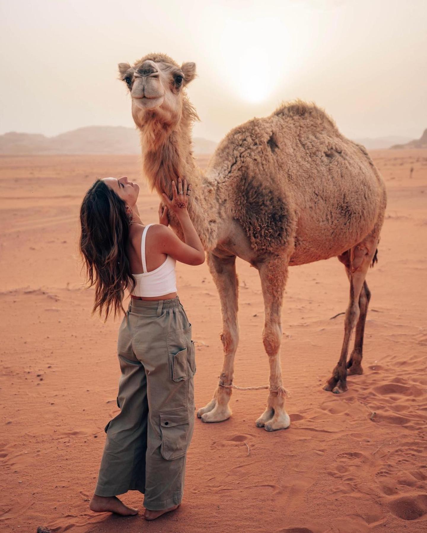 Rum Luxury Camp Wadi Rum Ngoại thất bức ảnh